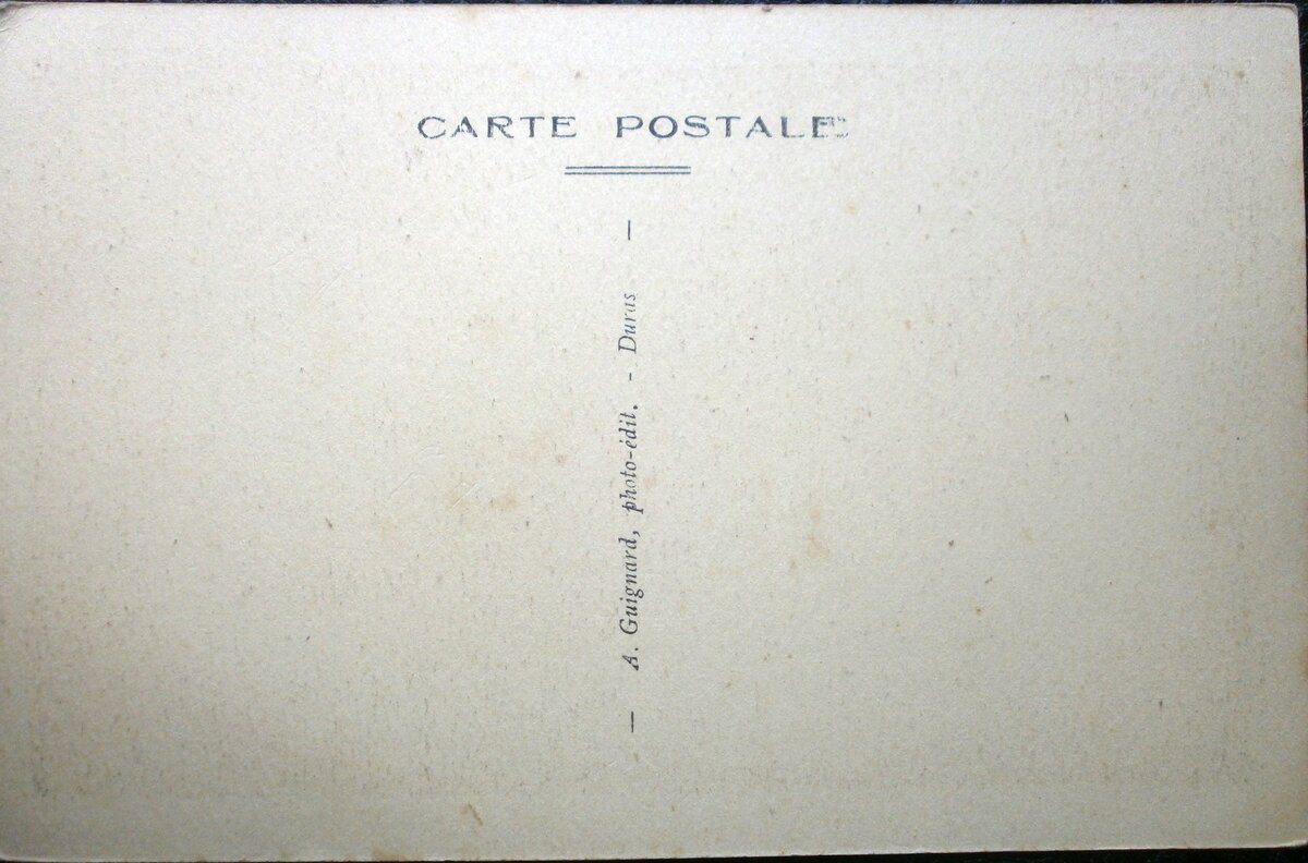 P1013230.JPG