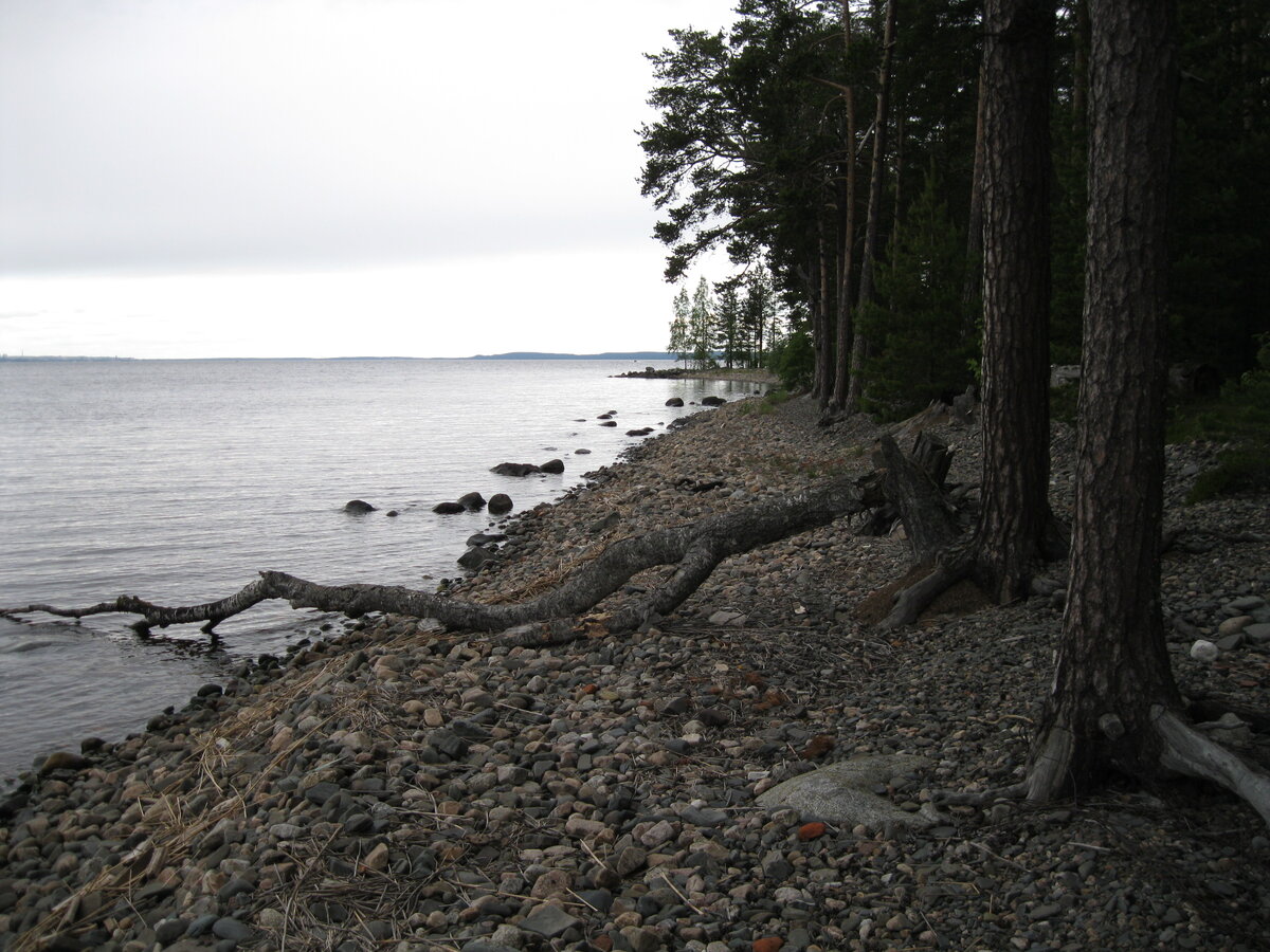 IMG_3414.JPG