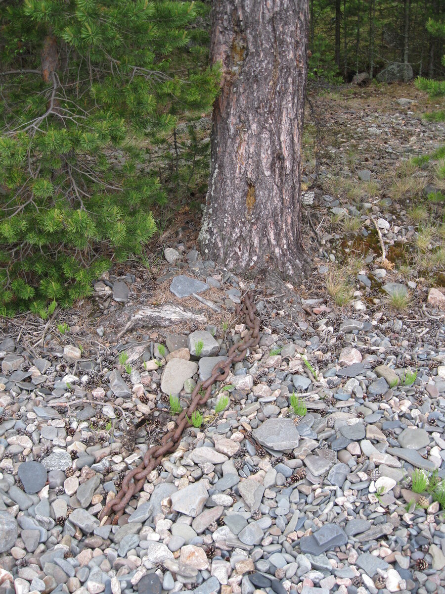 IMG_3390.JPG