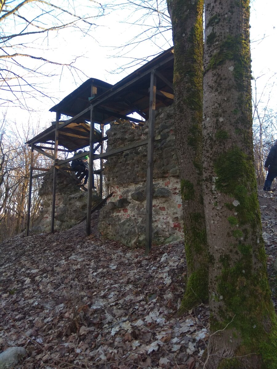 IMG_20180318_181401.jpg