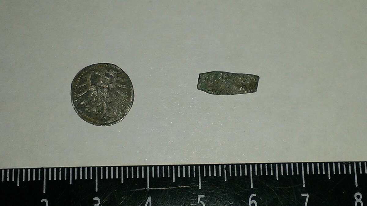 IMAG0061.jpg
