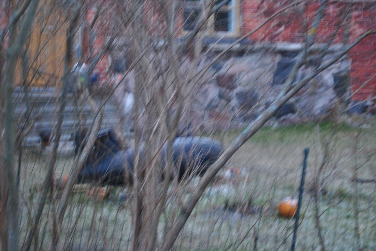 DSC_0817.JPG