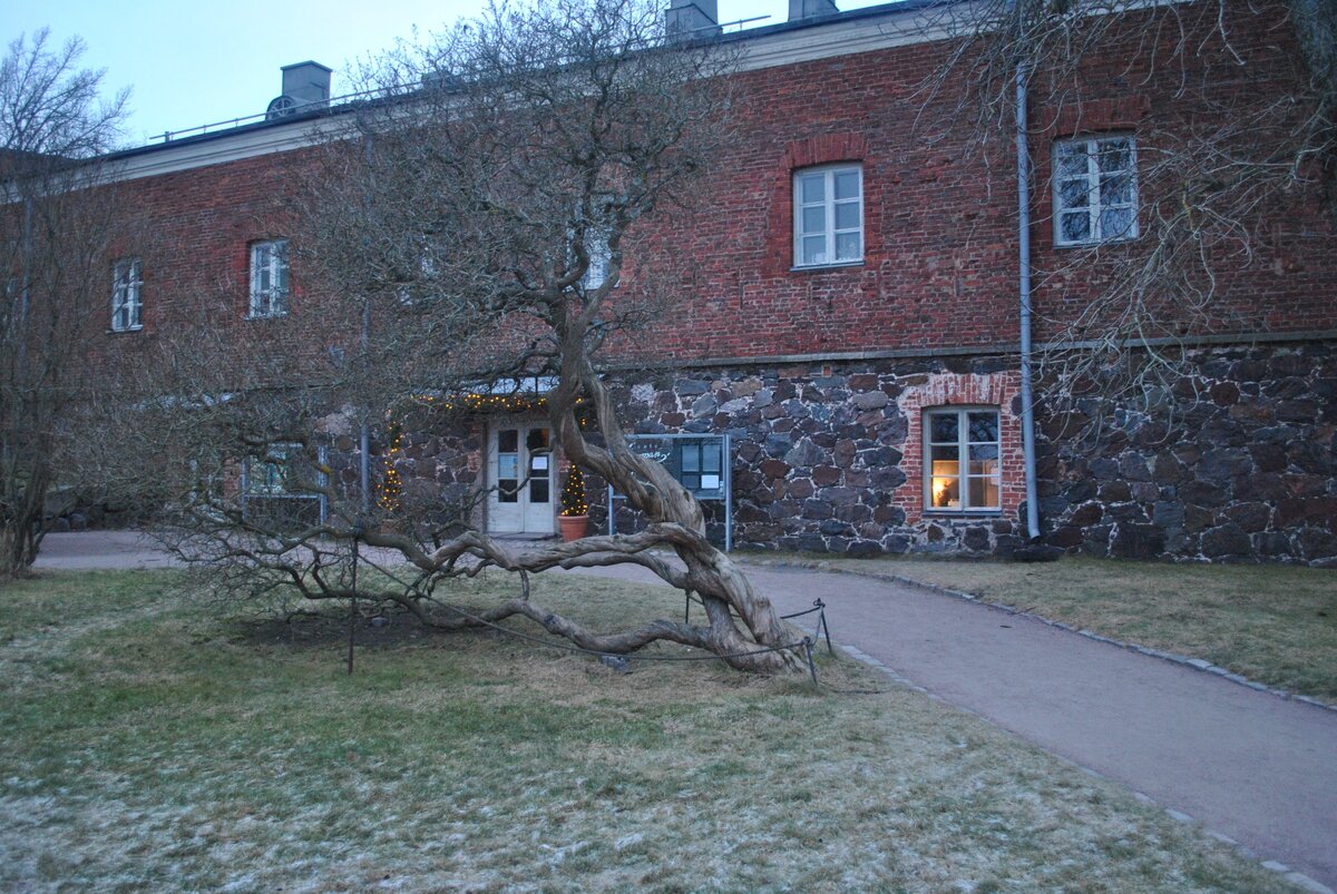 DSC_0832.JPG
