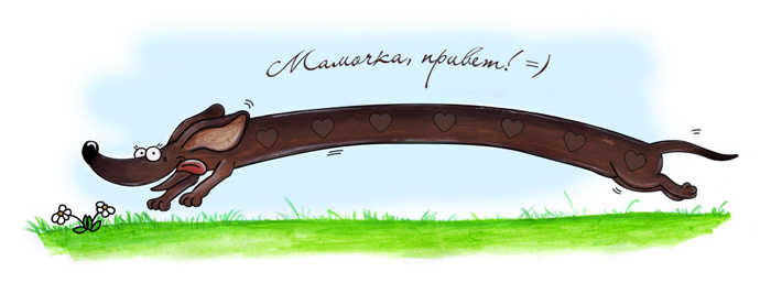 64.jpg