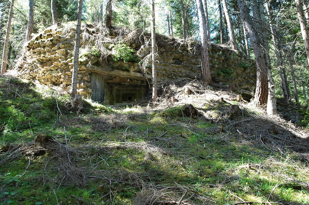 DSC_7644.JPG
