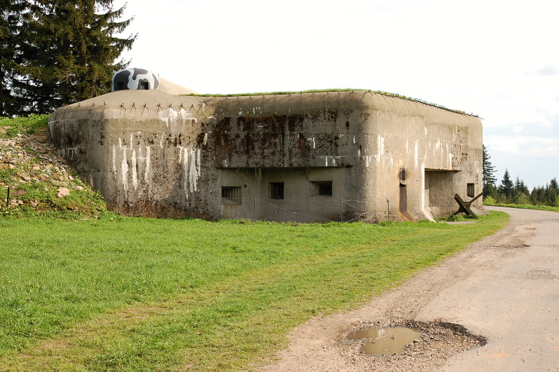 DSC_0050.JPG