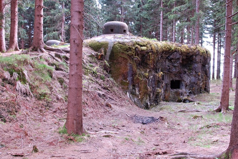 DSC_0609.JPG