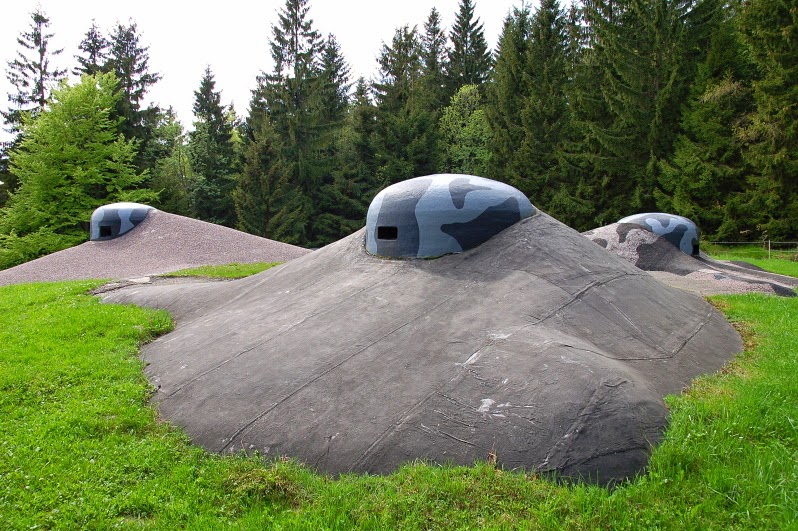 DSC_0507.JPG