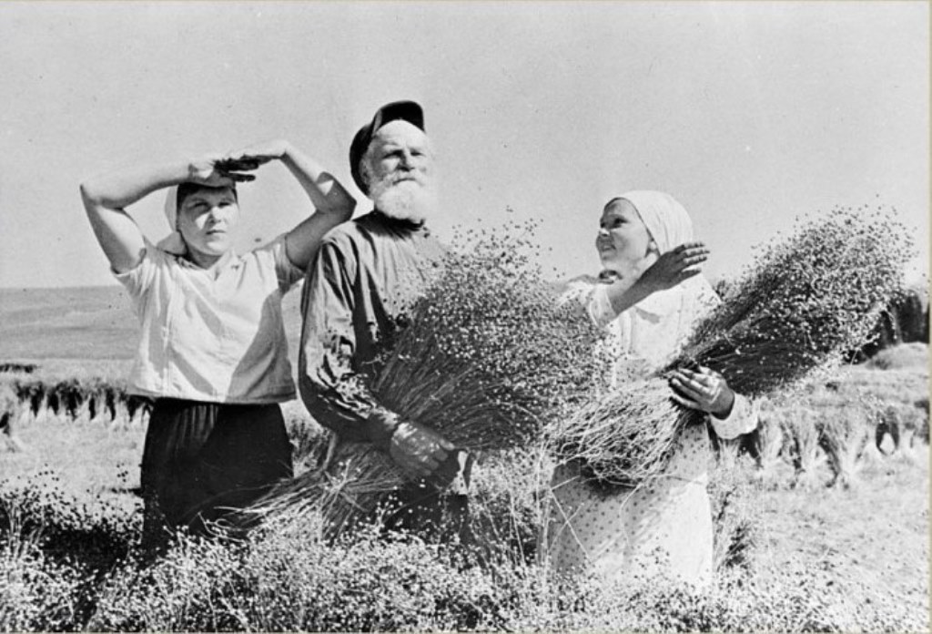 Flaxpickersduringharvestonthefarm.jpg