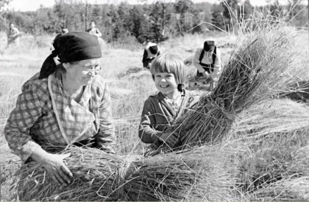 heharvesttimeonthefarm.jpg