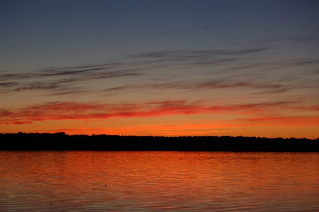 DSC_2374.JPG