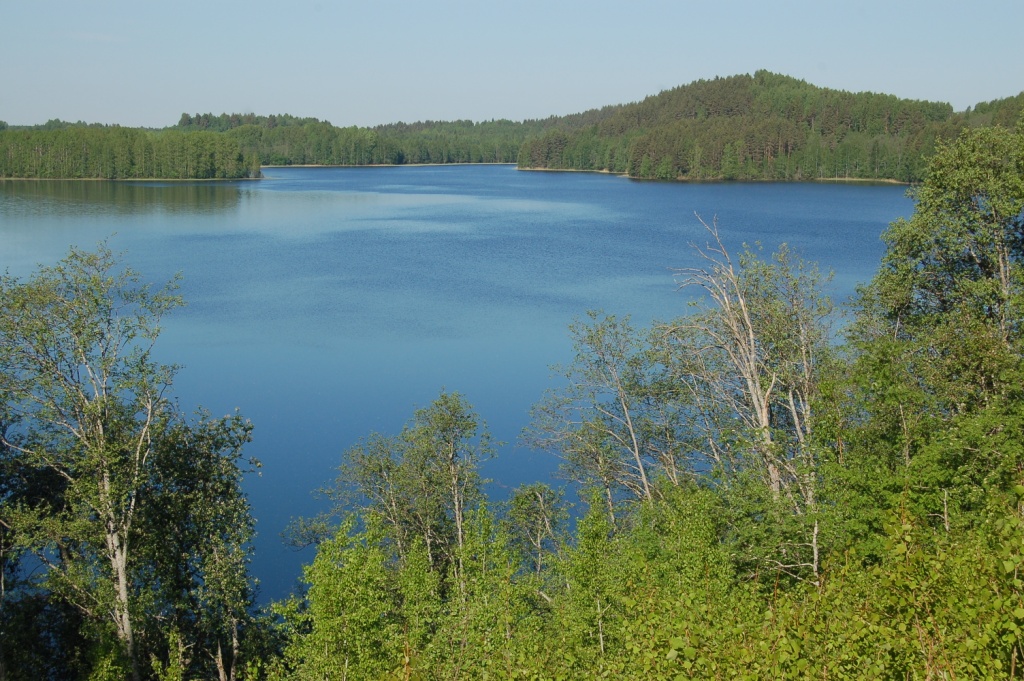 DSC_2673.JPG
