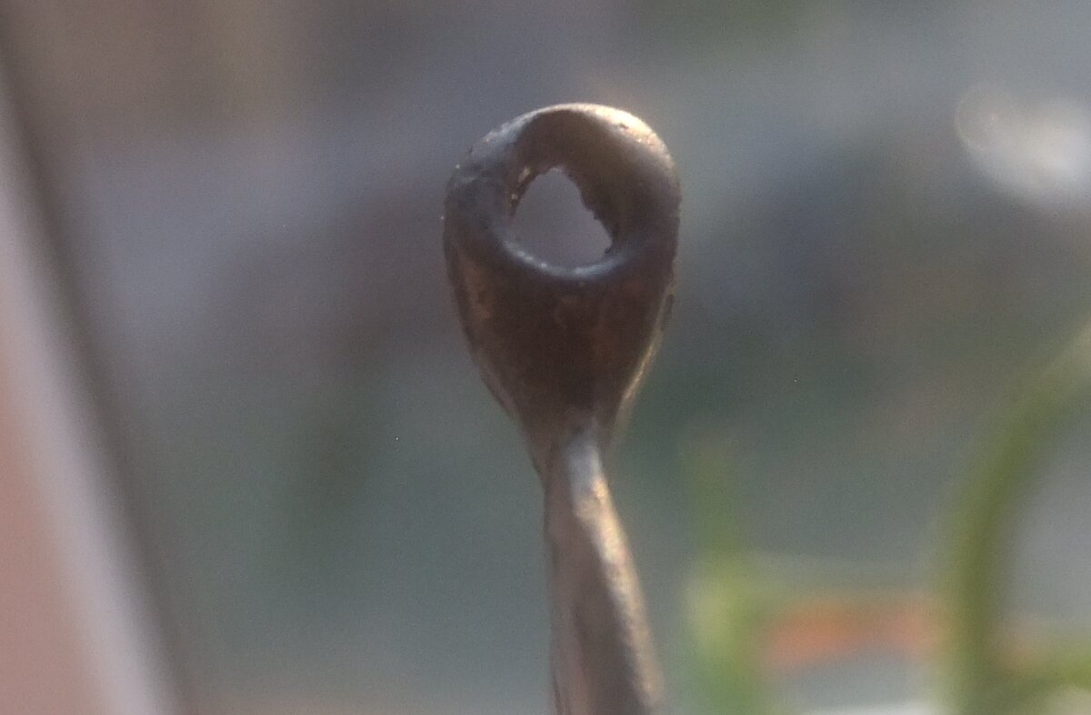 DSCF5654.jpg