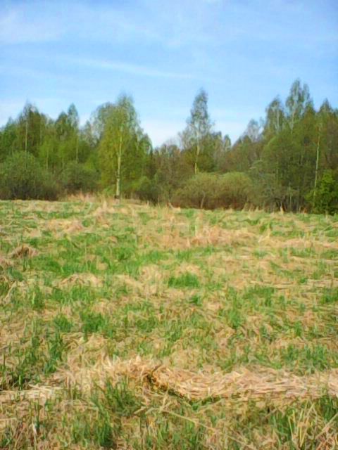 Photo0447.jpg