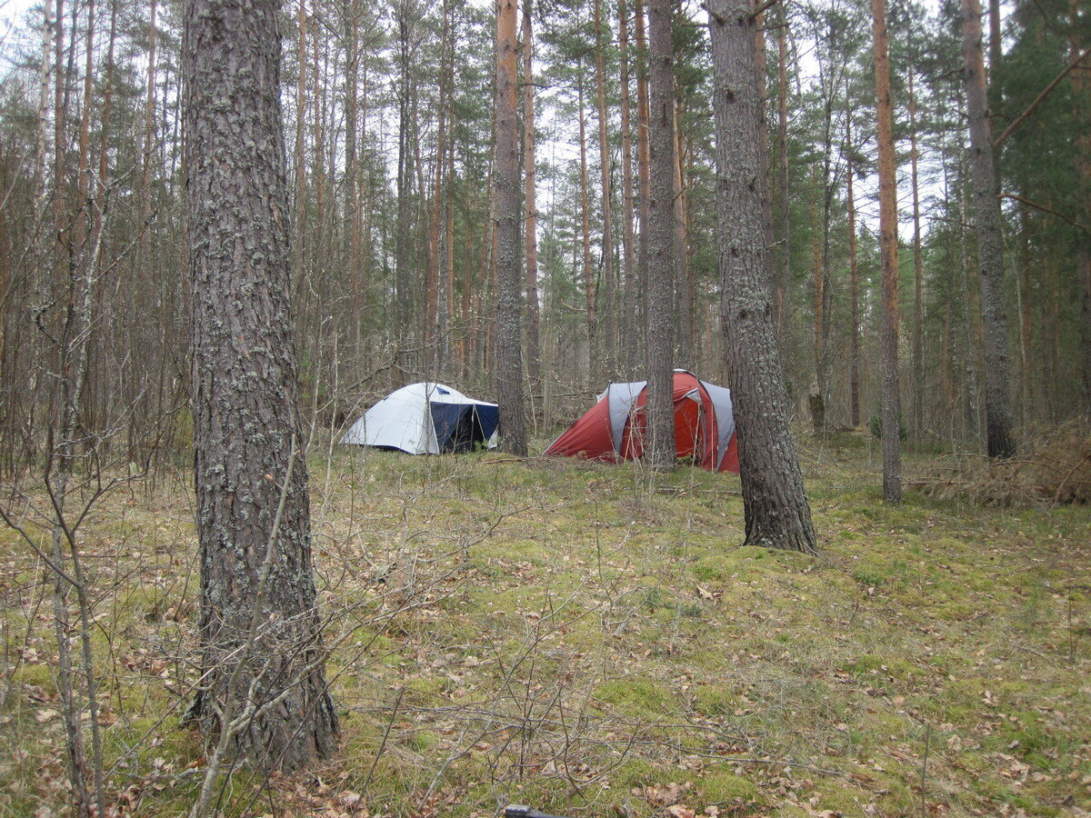 IMG_3959.JPG