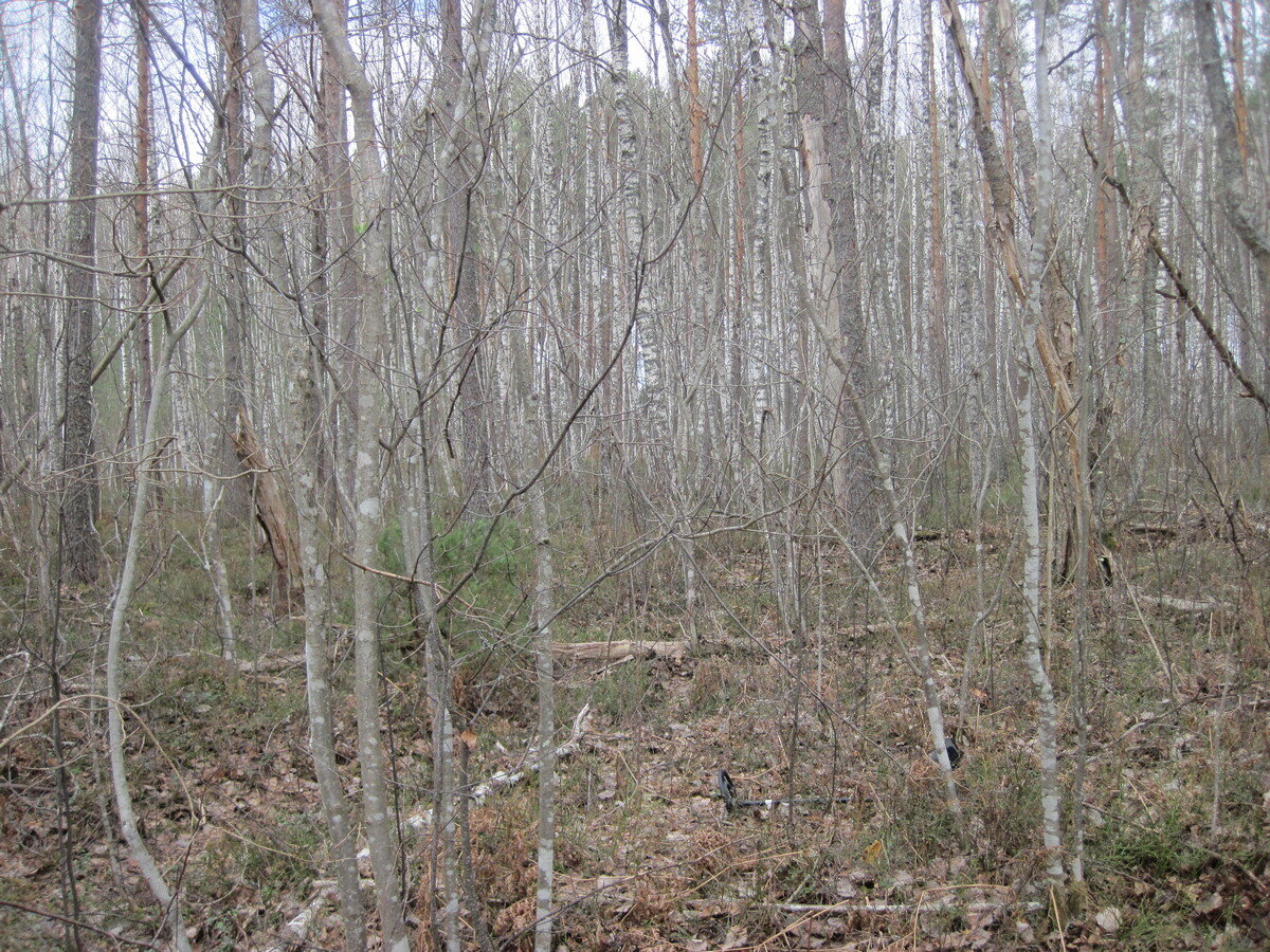 IMG_3989.JPG