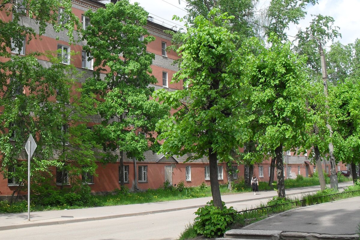 2wZSY1E54mk.jpg