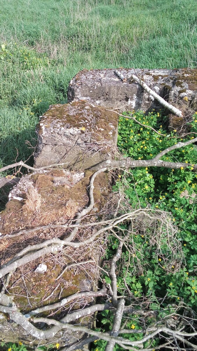 20180516_094425.jpg