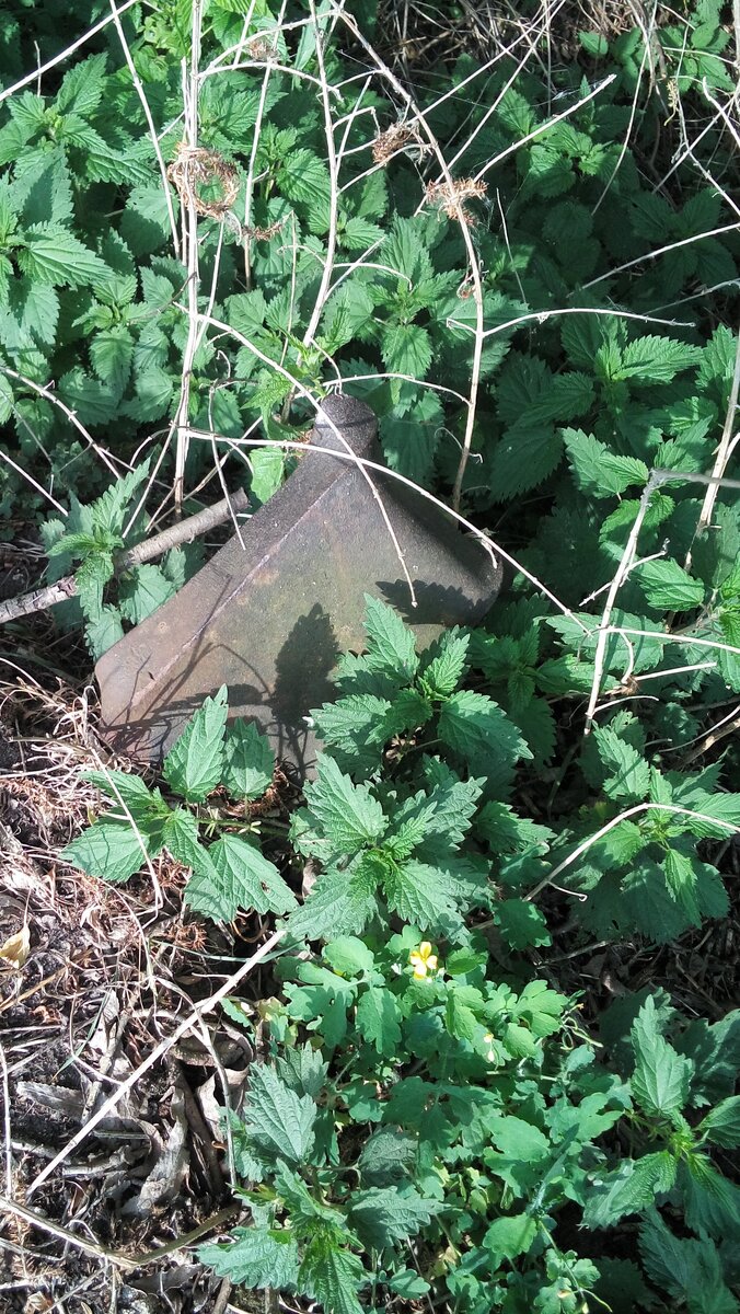 20180516_094722.jpg