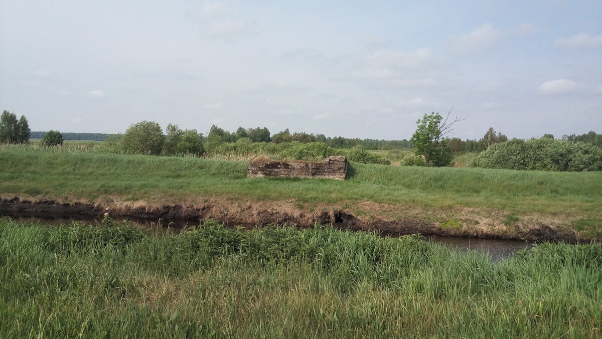 20180516_101331.jpg