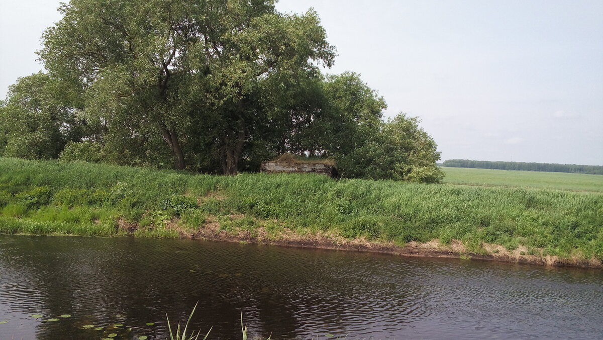 20180516_102744.jpg