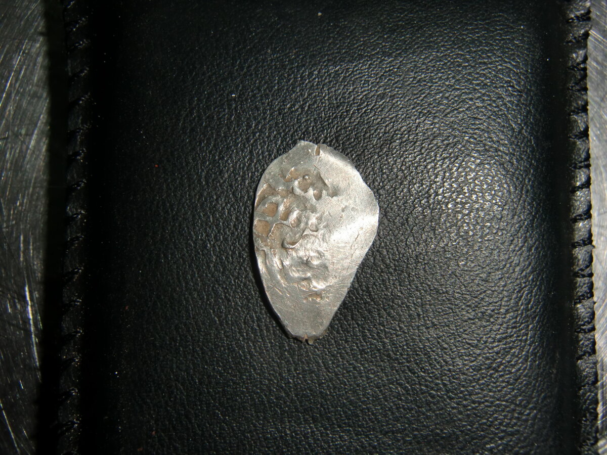 CIMG0699.JPG