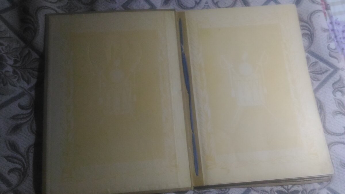 P_20180605_150440.jpg