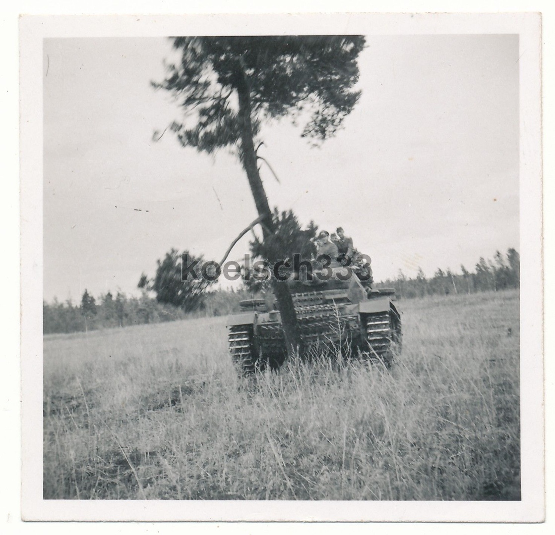 най_Pz. III и дерево _оco_5.JPG