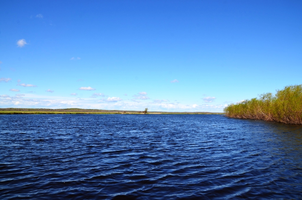 DSC_8164.JPG