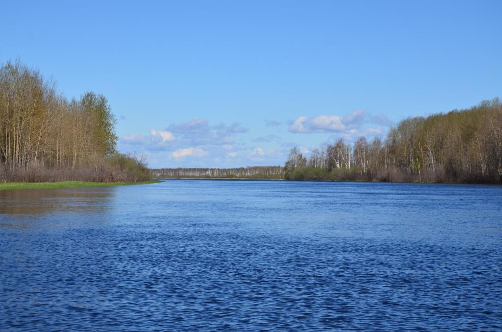 DSC_8171.JPG