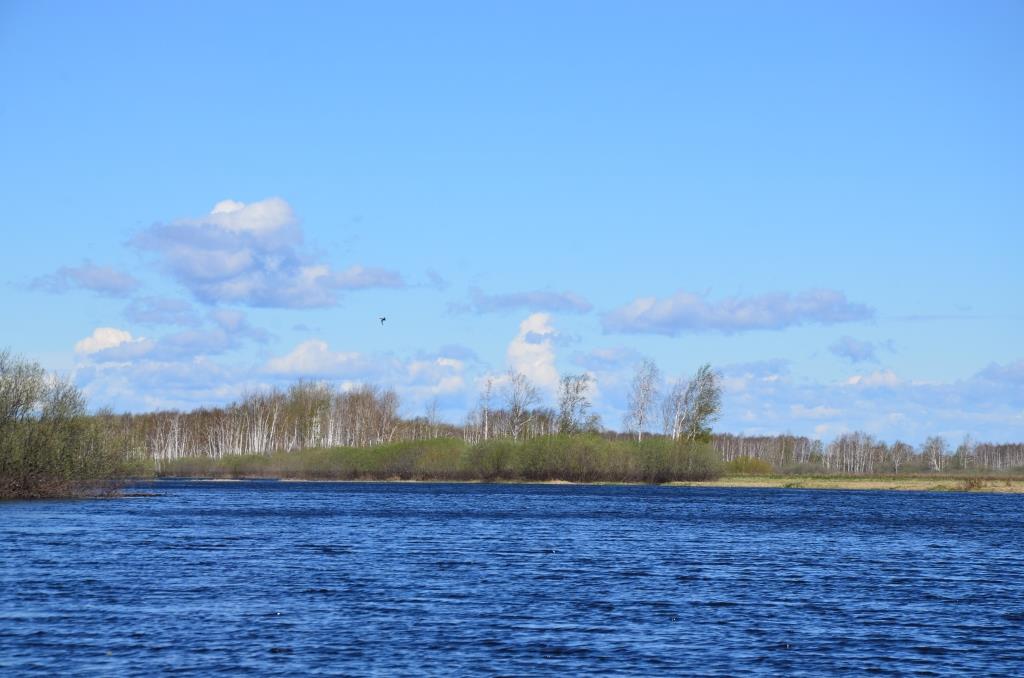 DSC_8173.JPG