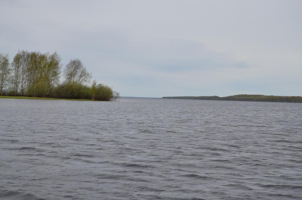 DSC_8201.JPG