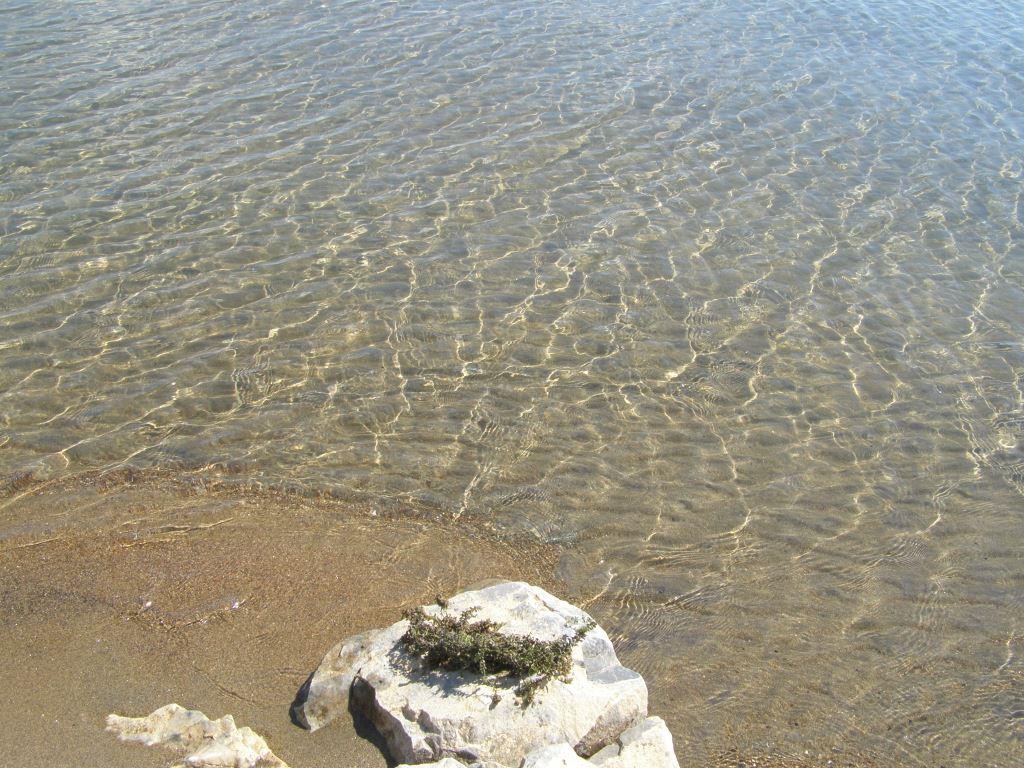 1026.JPG