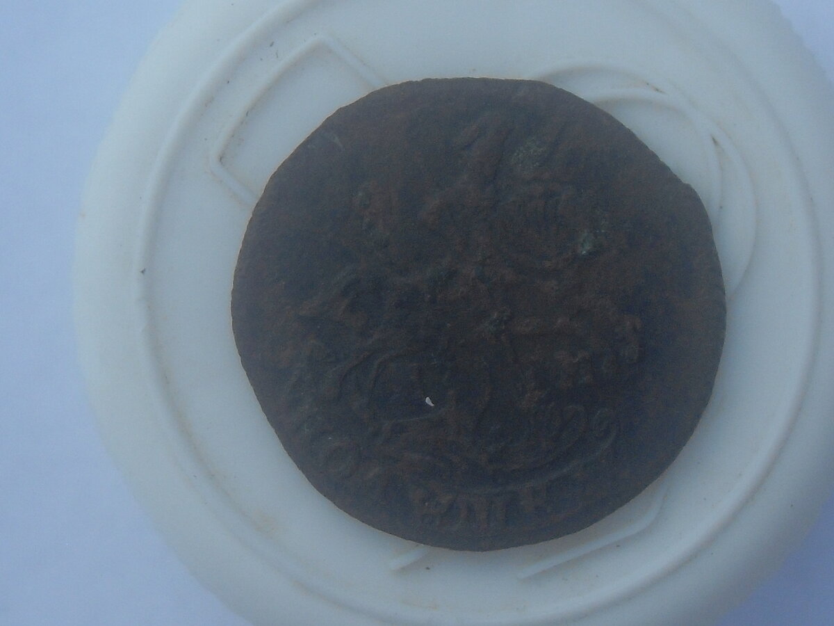 SDC10385.JPG