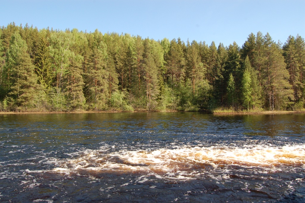 DSC_2432.JPG