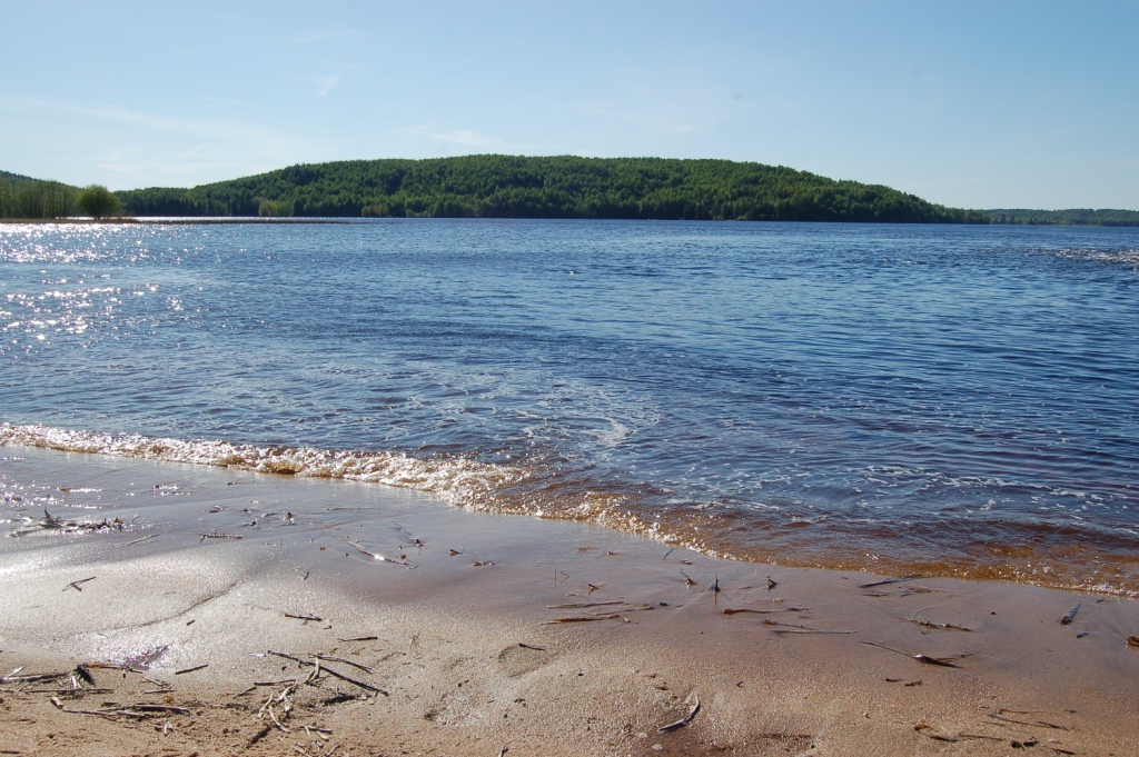 DSC_2446.JPG