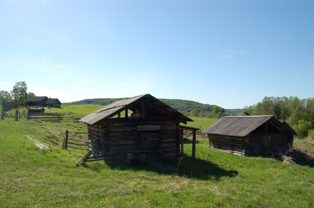 DSC_2450.JPG
