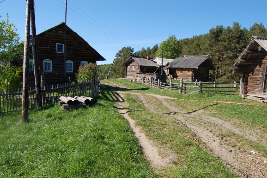DSC_2463.JPG