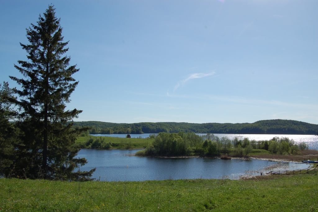 DSC_2466.JPG