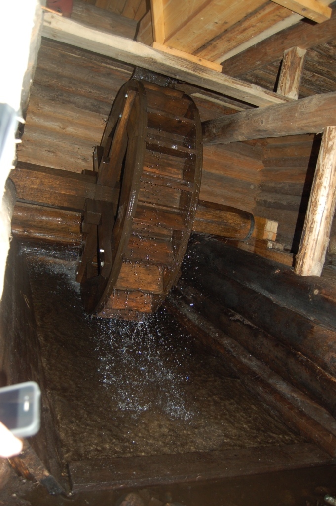 DSC_2502.JPG