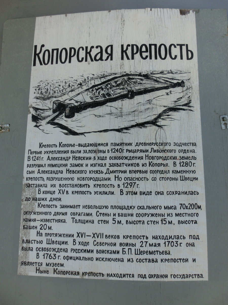 CIMG9214.JPG
