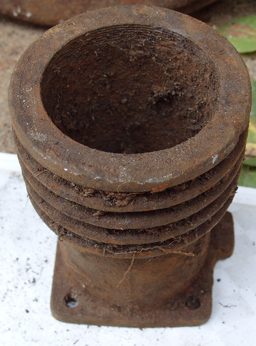 S1059712.JPG