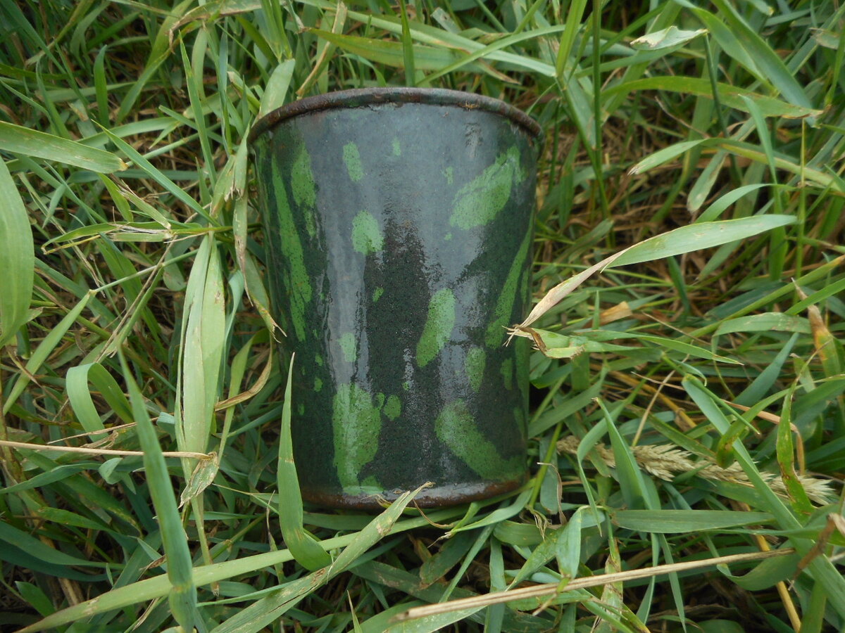 DSCN5705.JPG