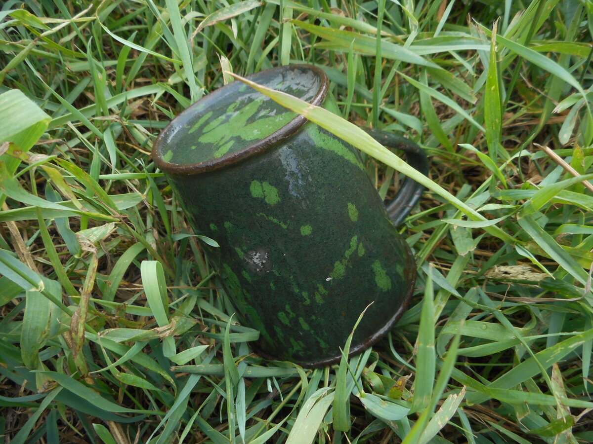 DSCN5706.JPG