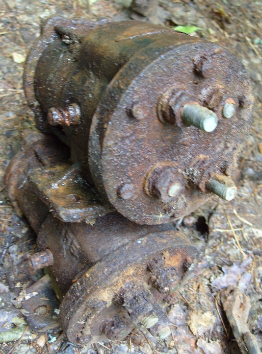 S1059790.JPG