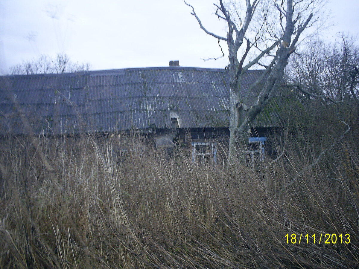 PIC_1560.JPG