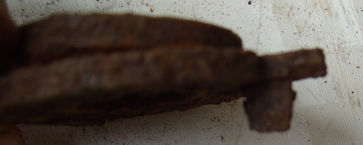 S1059886.JPG