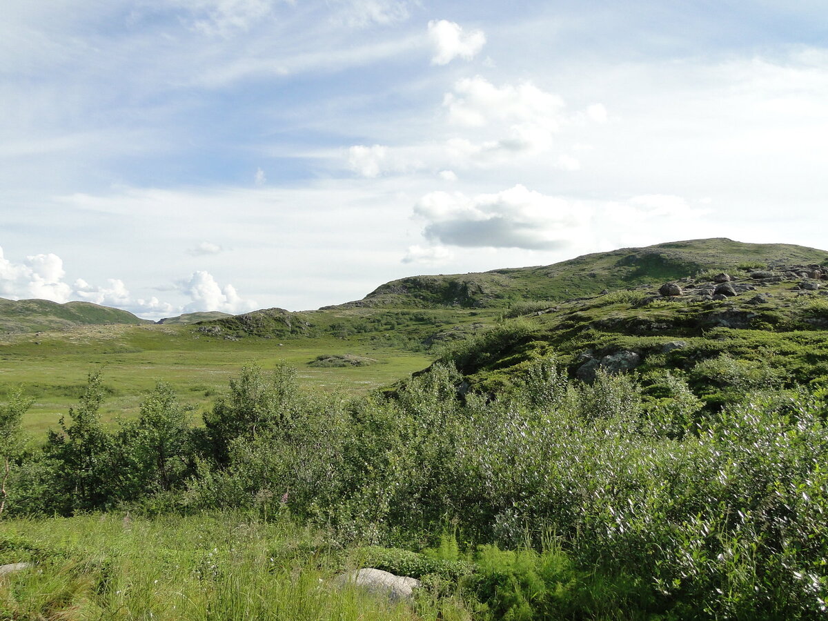 DSC02040.JPG