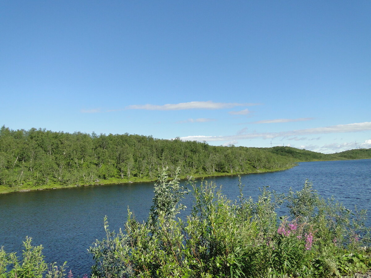 DSC02137.JPG