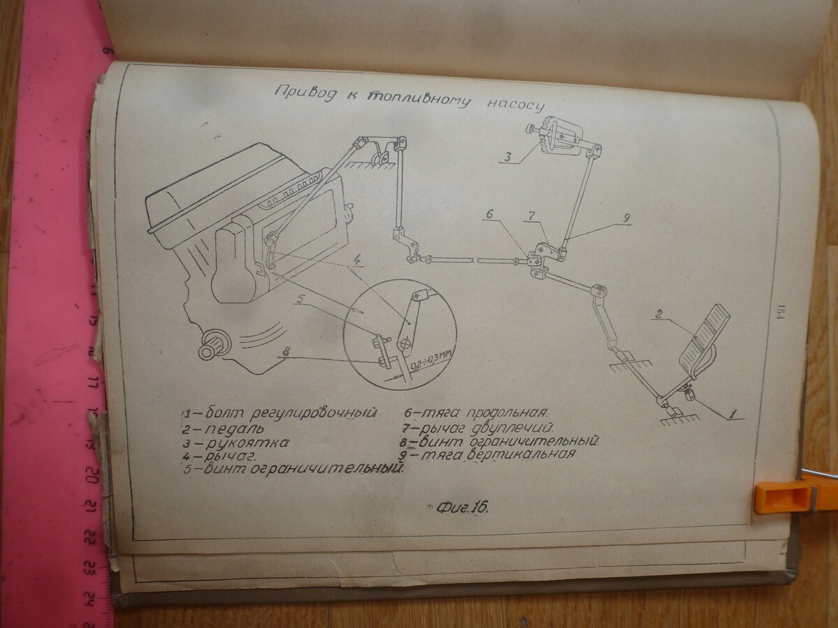 P1580231.JPG